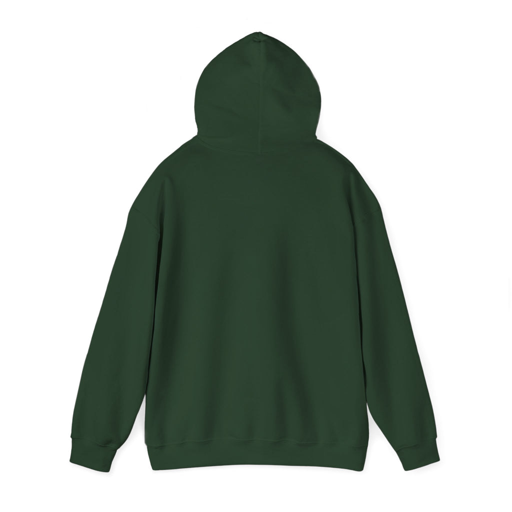 Serene Nature Landscape Hoodie