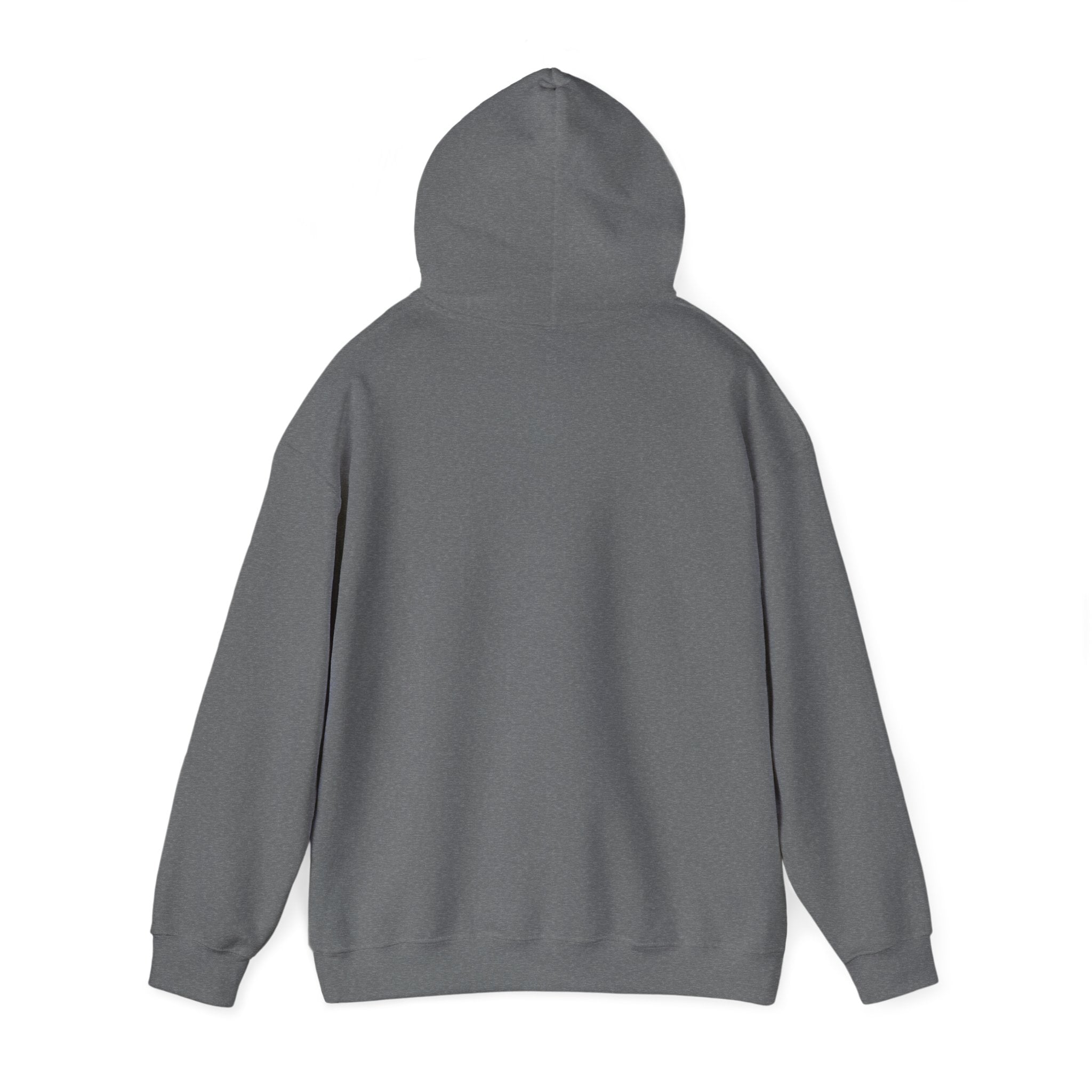 Serene Nature Landscape Hoodie