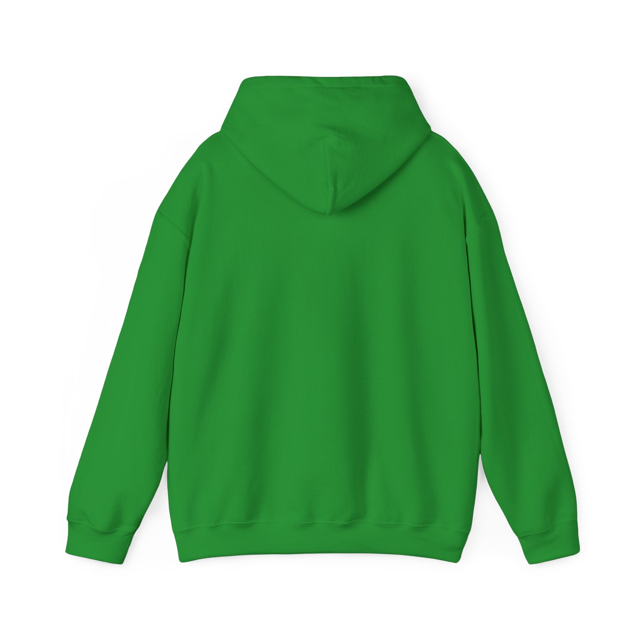 Serene Nature Landscape Hoodie