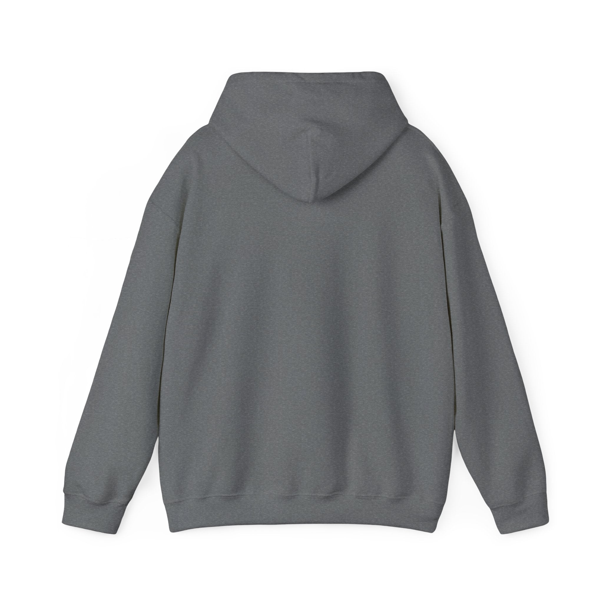 Serene Nature Landscape Hoodie